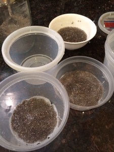 With paper towel filters