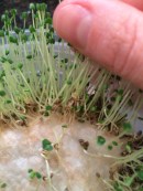 Photo Feb 26, 3 56 33 PM