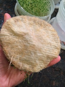 Photo Feb 26, 3 57 24 PM