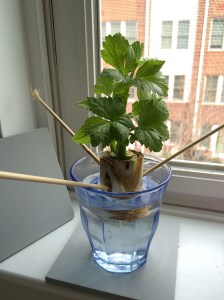 Photo Apr 05, 11 36 49 AM