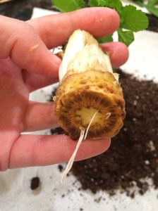 Photo Apr 05, 11 39 05 AM