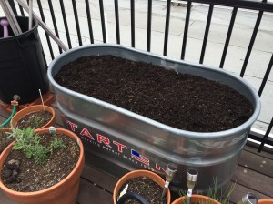 Photo Apr 19, 3 58 23 PM