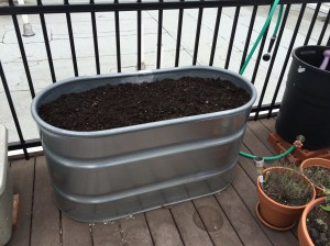 Photo Apr 19, 3 58 26 PM