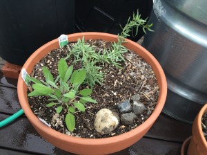 Photo Apr 20, 4 01 18 PM