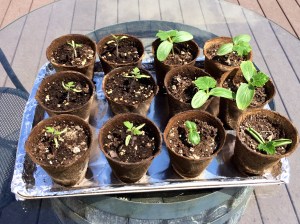 Photo Apr 28, 1 34 07 PM