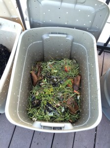 Photo May 02, 7 33 19 PM