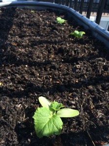 Photo May 04, 4 25 25 PM