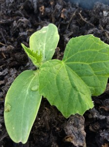 Photo May 04, 7 49 52 PM