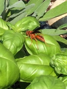 Photo May 07, 11 08 06 AM