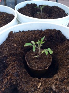 Photo May 10, 7 22 16 PM