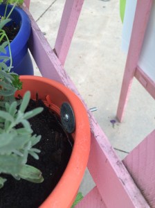 Photo May 11, 5 44 34 PM