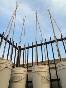 Photo May 12, 7 58 57 PM