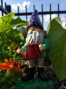 Photo May 24, 5 32 51 PM