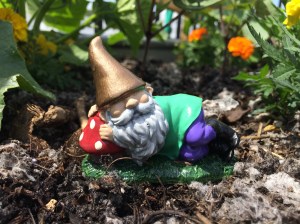 Photo May 28, 2 36 52 PM