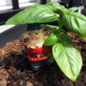 Photo May 28, 2 42 47 PM