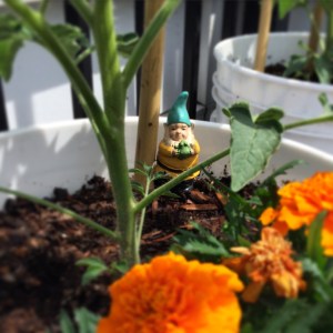 Photo May 28, 2 43 37 PM