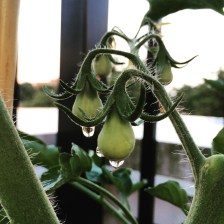 Photo Jun 14, 8 09 41 PM