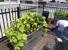 Photo Jun 22, 11 02 31 AM