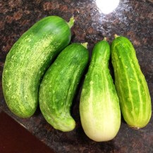 Photo Jul 01, 9 32 25 PM