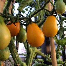 Photo Jul 11, 8 05 11 PM