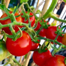 Photo Jul 23, 8 08 44 PM