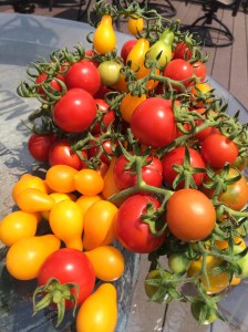 Photo Jul 28, 1 10 40 PM