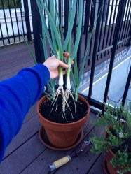 Photo Jun 28, 8 42 50 PM