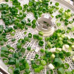 Photo Jun 30, 3 07 34 PM