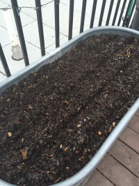 Photo Aug 31, 2 19 00 PM