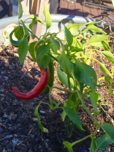 Photo Oct 16, 3 59 14 PM