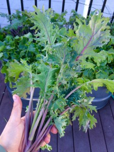 Photo Oct 21, 4 35 07 PM