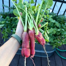 Photo Oct 21, 4 35 26 PM