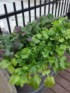 Photo Oct 27, 5 42 55 PM