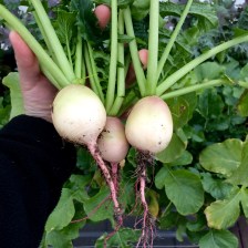 Photo Oct 27, 5 45 15 PM