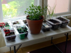 Photo May 08, 1 54 41 PM