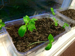 Photo May 21, 8 29 03 PM