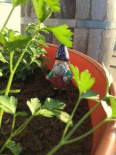 Photo May 24, 6 54 15 PM