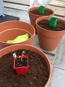 Photo May 29, 4 44 54 PM