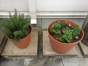 Photo May 30, 7 06 19 PM