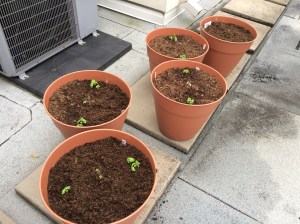 Photo May 30, 7 06 24 PM