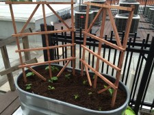 Photo May 30, 7 08 29 PM