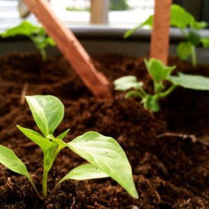 Photo May 30, 7 16 37 PM