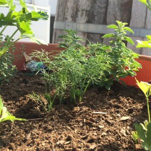 Photo May 31, 5 10 56 PM