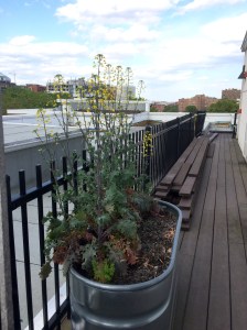 Photo Apr 26, 5 08 03 PM