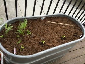 Photo Jun 05, 5 27 07 PM