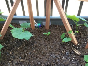 Photo Jun 06, 1 13 37 PM