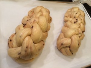 Photo Aug 12, 5 23 56 PM