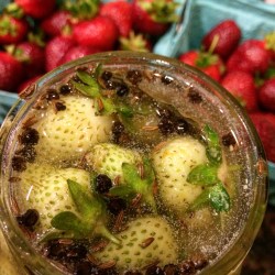 Photo Jun 03, 12 11 31 AM