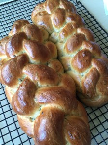 Photo Jun 17, 7 06 05 PM