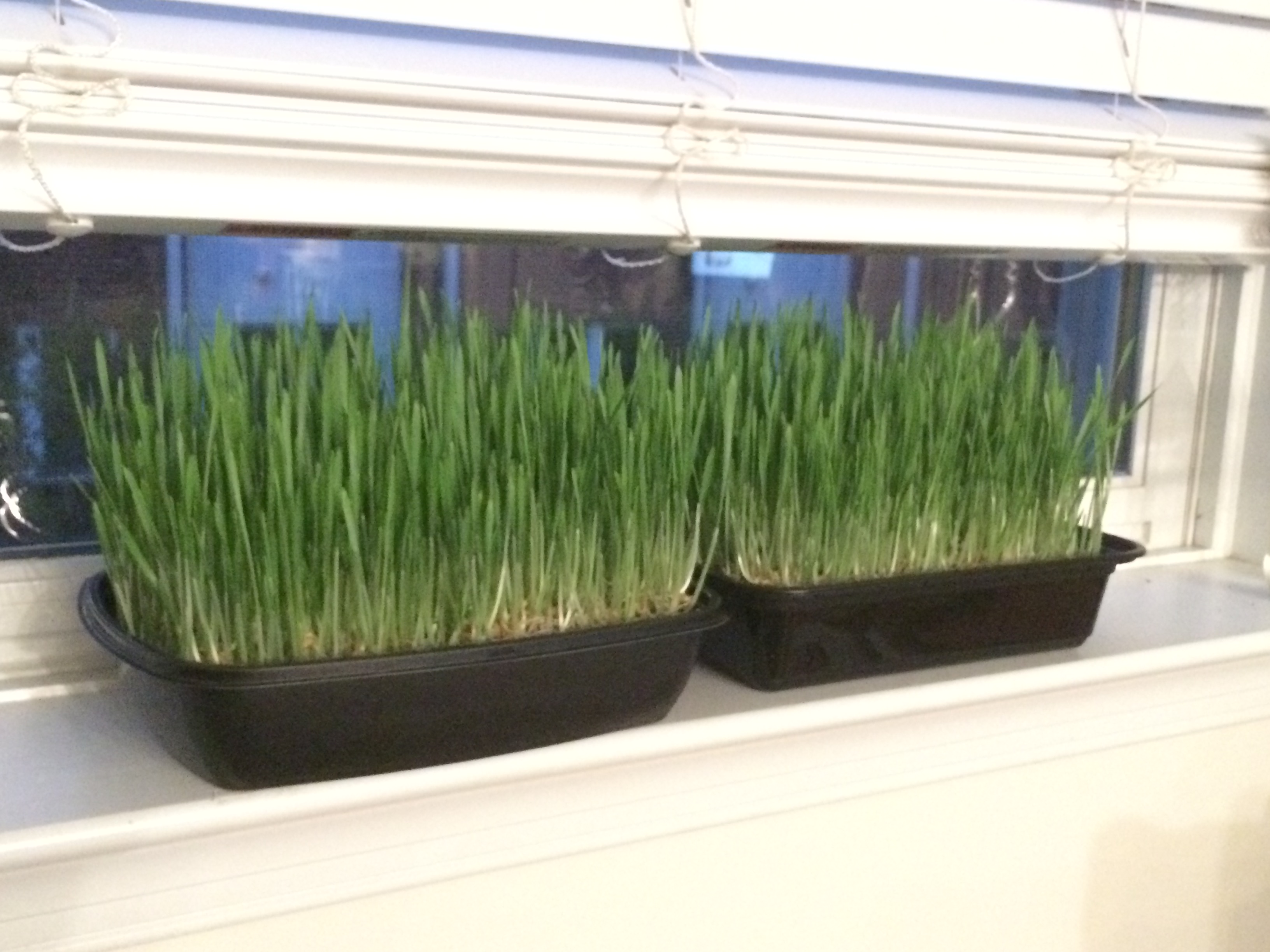 photo-nov-09-5-18-35-pm